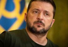 Die Rolle von Trump bei Friedensgesprächen in der Ukraine: Selenskyj’s Perspektive die-rolle-von-trump-bei-friedensgesprchen-in-der-ukraine-selenskyjs-perspektive