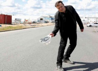 Elon Musk: Der Top Disruptor von Donald Trump elon-musk-der-top-disruptor-von-donald-trump