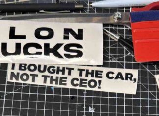 Elon Musk: Reaktion der Tesla-Fans auf den CEO elon-musk-reaktion-der-tesla-fans-auf-den-ceo