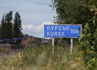 Selenskyj bereit für Russland-Gespräche mit Trump-Garantien selenskyj-bereit-fr-russland-gesprche-mit-trump-garantien