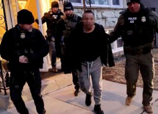 Trumps Abschiebe-Show in Chicago: Einsatz gegen Einwanderer trumps-abschiebe-show-in-chicago-einsatz-gegen-einwanderer