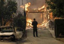 Waldbrände in Los Angeles: Schaden in Altadena – Analyse und Auswirkungen waldbrnde-in-los-angeles-schaden-in-altadena-analyse-und-auswirkungen