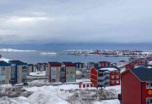 Wie reagiert Dänemark auf Donald Trumps Pläne für Grönland? wie-reagiert-dnemark-auf-donald-trumps-plne-fr-grnland