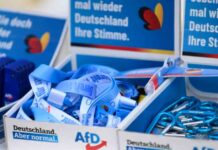 AfD-Skandal: Millionenspende bei Bundestagswahl 2025 aufgedeckt afd-skandal-millionenspende-bei-bundestagswahl-2025-aufgedeckt