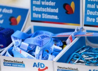 AfD-Skandal: Millionenspende bei Bundestagswahl 2025 aufgedeckt afd-skandal-millionenspende-bei-bundestagswahl-2025-aufgedeckt