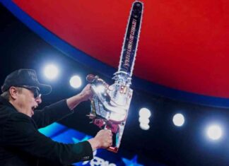 KI von Elon Musk und DOGE in US-Behörden: Risiko oder Chance? k-von-elon-musk-und-doge-in-us-behrden-risiko-oder-chance