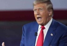 Mexikos Präsidentin: USA setzt Zölle auf mexikanische Produkte aus mexikos-prsidentin-usa-setzt-zlle-auf-mexikanische-produkte-aus