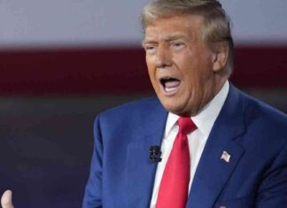 Mexikos Präsidentin: USA setzt Zölle auf mexikanische Produkte aus mexikos-prsidentin-usa-setzt-zlle-auf-mexikanische-produkte-aus