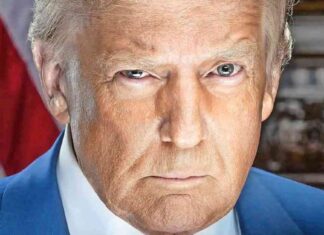 Sorge um Cäsarismus in den USA: Trumps Twitter-Rhetorik sorge-um-csarismus-in-den-usa-trumps-twitter-rhetorik