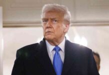 Trumps Ukraine-Plan: Verbündete geschockt trumps-ukraine-plan-verbndete-geschockt