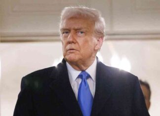 Trumps Ukraine-Plan: Verbündete geschockt trumps-ukraine-plan-verbndete-geschockt