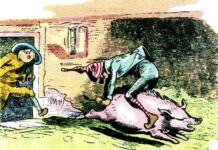 Annalena Baerbocks Ablehnung des Schweinsgalopps annalena-baerbocks-ablehnung-des-schweinsgalopps