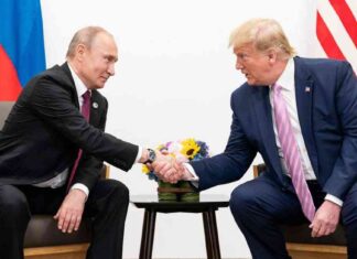 Ukraine-Konflikt: Putins Taktik und Trumps Rolle analysiert ukraine-konflikt-putins-taktik-und-trumps-rolle-analysiert