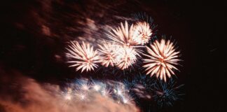 Teilnehmer: Borussia Dortmund Gegen FC Bayern München Statistiken Teilnehmer: Borussia Dortmund Gegen FC Bayern München Statistiken