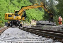 Bürokratie im Schwarzwald: Fledermaus vs. Bahnstrecke brokratie-im-schwarzwald-fledermaus-vs-bahnstrecke