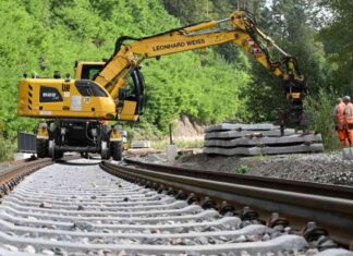 Bürokratie im Schwarzwald: Fledermaus vs. Bahnstrecke brokratie-im-schwarzwald-fledermaus-vs-bahnstrecke