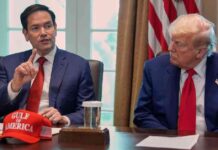 Der politische Aufstieg von Marco Rubio: Ein Blick auf seine Erfolge der-politische-aufstieg-von-marco-rubio-ein-blick-auf-seine-erfolge