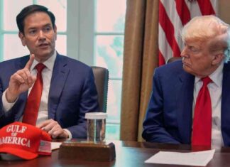 Der politische Aufstieg von Marco Rubio: Ein Blick auf seine Erfolge der-politische-aufstieg-von-marco-rubio-ein-blick-auf-seine-erfolge