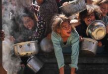 Hilfslieferungen im Gazastreifen: Keine Hilfe bei den Menschen angekommen hilfslieferungen-im-gazastreifen-keine-hilfe-bei-den-menschen-angekommen