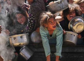 Hilfslieferungen im Gazastreifen: Keine Hilfe bei den Menschen angekommen hilfslieferungen-im-gazastreifen-keine-hilfe-bei-den-menschen-angekommen