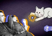 Quantenmechanik: 100 Jahre Grundlagenforschung – Katzen und Atome quantenmechanik-100-jahre-grundlagenforschung-katzen-und-atome