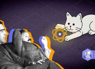 Quantenmechanik: 100 Jahre Grundlagenforschung – Katzen und Atome quantenmechanik-100-jahre-grundlagenforschung-katzen-und-atome