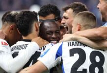 Rückkehr des Hamburger SV in die Fußball-Bundesliga rckkehr-des-hamburger-sv-in-die-fuball-bundesliga