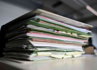 Sind deutsche Beamte bereit für mehr Freiheit? sind-deutsche-beamte-bereit-fr-mehr-freiheit