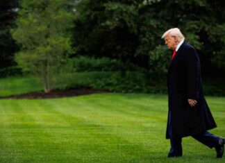 Trump verschiebt EU-Zölle nach Gespräch mit von der Leyen trump-verschiebt-eu-zlle-nach-gesprch-mit-von-der-leyen