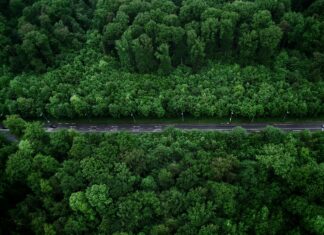 Aufstellungen Teilnehmer Bayer 04 Leverkusen Gegen VfB Stuttgart Enthüllt!