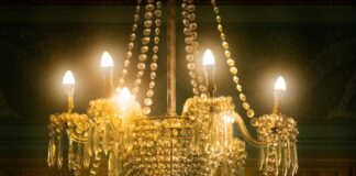 Aufstellungen Teilnehmer: Wer Gewinnt Brighton & Hove Albion Gegen Manchester United?