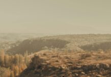 Aufstellungen Teilnehmer Galatasaray Gegen Tottenham: Wer Siegt?