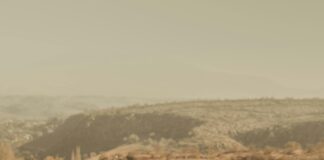 Aufstellungen Teilnehmer Galatasaray Gegen Tottenham: Wer Siegt?