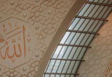 Aufstellungen Teilnehmer 1. FC Köln Gegen Hertha BSC: Wer Gewinnt?