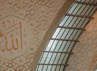 Aufstellungen Teilnehmer 1. FC Köln Gegen Hertha BSC: Wer Gewinnt?