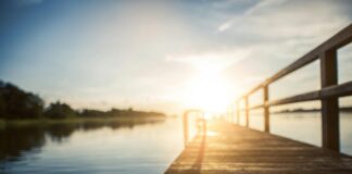 Aufstellungen Teilnehmer Holstein Kiel Gegen Eintracht Frankfurt – Wer Gewinnt?