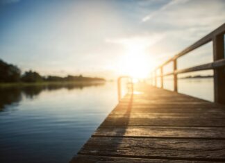 Aufstellungen Teilnehmer Holstein Kiel Gegen Eintracht Frankfurt – Wer Gewinnt?