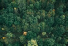 Aufstellung Deutschland Spanien: Wer Überrascht Im Top-Duell?