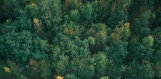 Aufstellung Deutschland Spanien: Wer Überrascht Im Top-Duell?