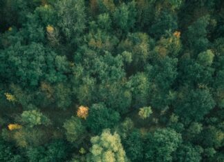 Aufstellung Deutschland Spanien: Wer Überrascht Im Top-Duell?