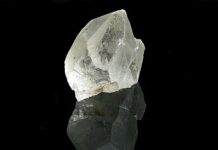 Aufstellungen Teilnehmer Schalke Gegen Fortuna Düsseldorf – Wer Siegt?