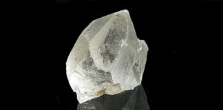 Aufstellungen Teilnehmer Schalke Gegen Fortuna Düsseldorf – Wer Siegt?