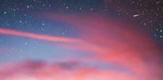 Aufstellungen Teilnehmer SC Freiburg Gegen VfL Wolfsburg – Spannende Analyse!