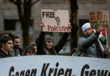 Aufstellungen Teilnehmer Schalke Gegen FCN – Wer Setzt Sich Durch?