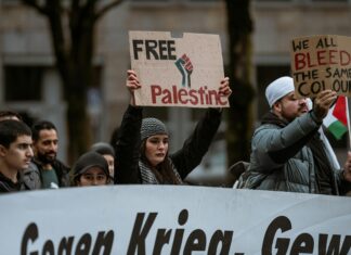 Aufstellungen Teilnehmer Schalke Gegen FCN – Wer Setzt Sich Durch?