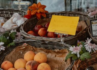 Aufstellungen Teilnehmer Werder Bremen Gegen Darmstadt 98 – Wer Gewinnt?