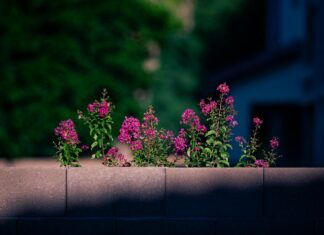 Aufstellungen: Teilnehmer 1. FC Heidenheim Gegen FC Augsburg – Wer Triumphiert?