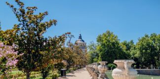 Aufstellungen Teilnehmer Manchester City Gegen Real Madrid: Wer Gewinnt?