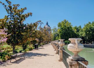 Aufstellungen Teilnehmer Manchester City Gegen Real Madrid: Wer Gewinnt?