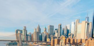 Aufstellungen Teilnehmer HSV Gegen Hertha BSC: Wer Steht Im Team?